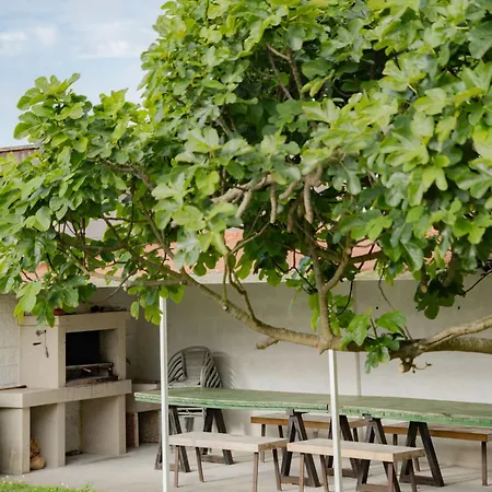 Areo Do Rio - Playa De * Razo